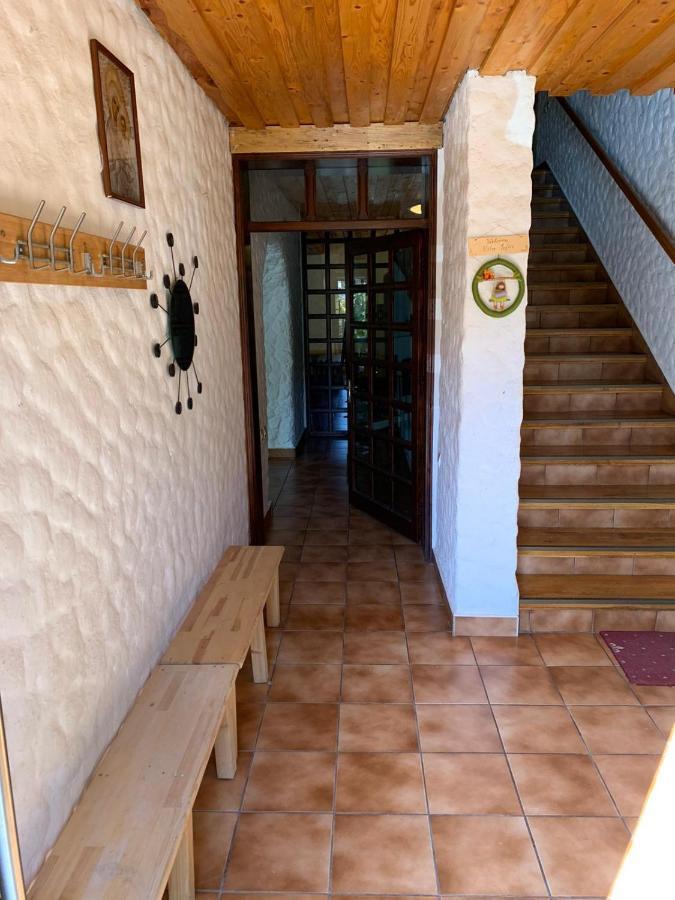 פרדיאל Vila Sofia מראה חיצוני תמונה